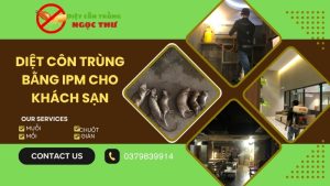 Diệt côn trùng bằng IPM cho khách sạn