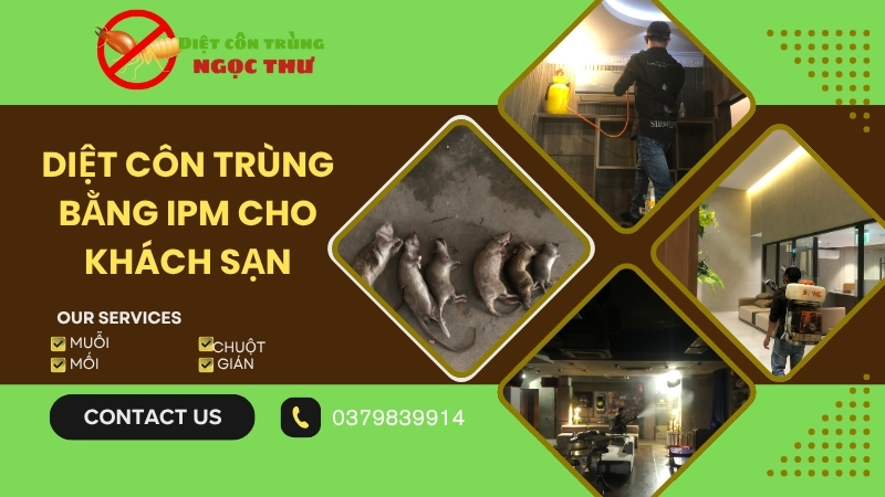 Diệt côn trùng bằng IPM cho khách sạn