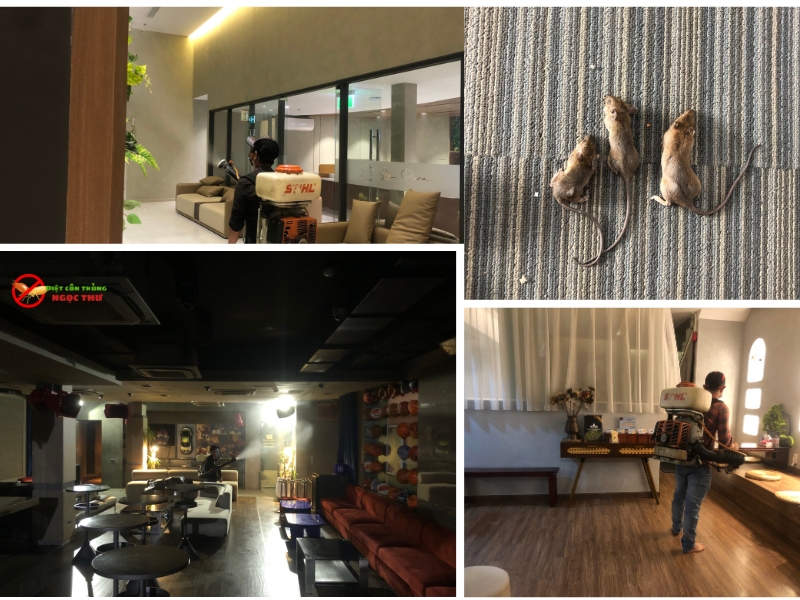 Diệt côn trùng bằng phương pháp IPM cho khách sạn