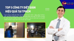 Top 5 công ty diệt gián hiệu quả tại tphcm