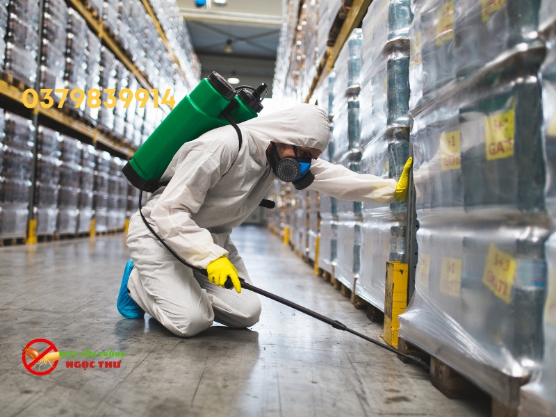 Tại sao bạn cần công ty diệt gián chuyên nghiệp