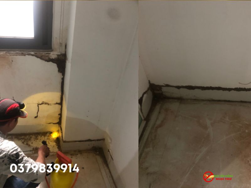 Công ty diệt mối Ngọc Thư 2
