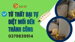 Từ thất bại tự diệt mối đến thành công