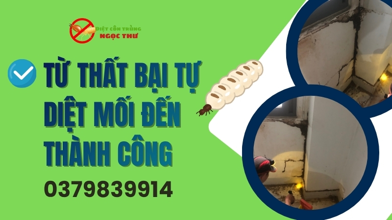 Từ thất bại tự diệt mối đến thành công