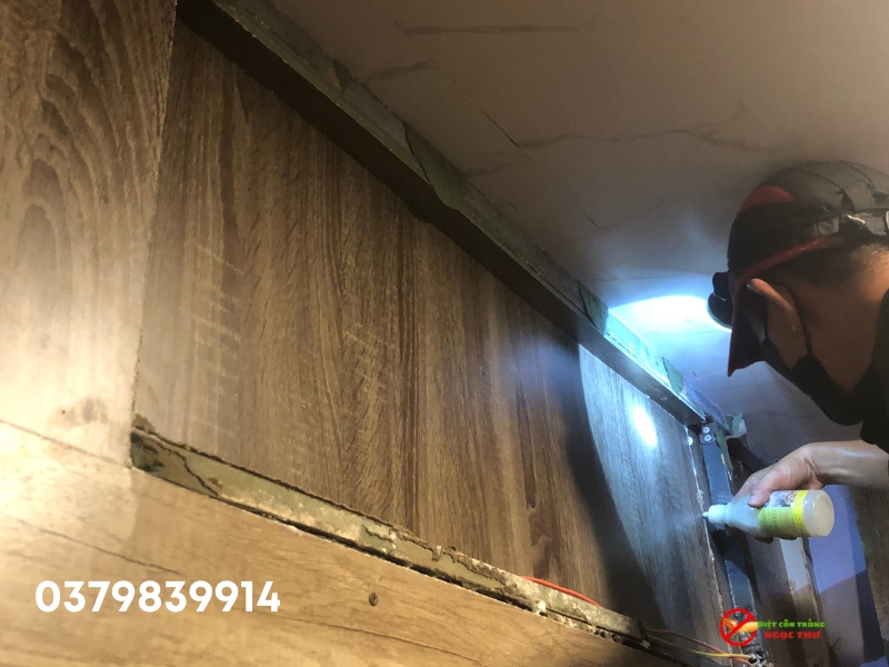 Diệt mối bằng hóa chất chuyên dụng