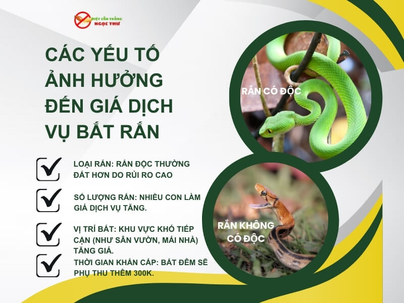 Các yếu tố ảnh hưởng đến giá dịch vụ bắt rắn