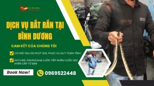 Dịch vụ bắt rắn tại Bình Dương, Ngọc Thư