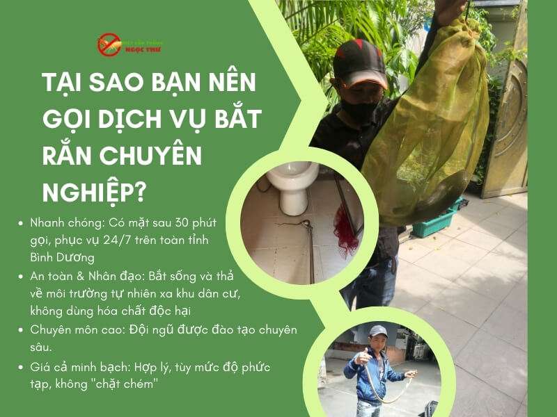 Tại sao nên chọn dịch vụ bắt rắn Ngọc Thư