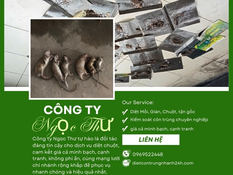 Công ty diệt côn trùng Ngọc Thư