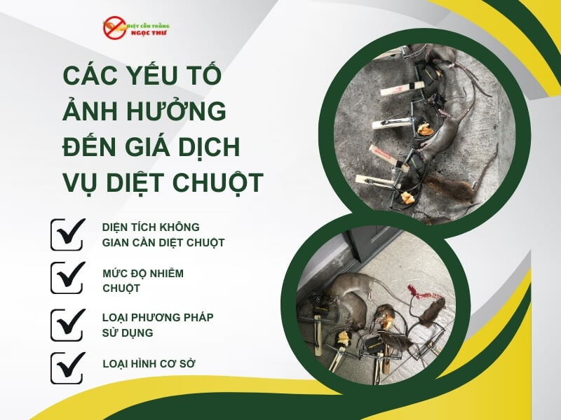 Các yếu tố ảnh hưởng đến giá dịch vụ diệt chuột