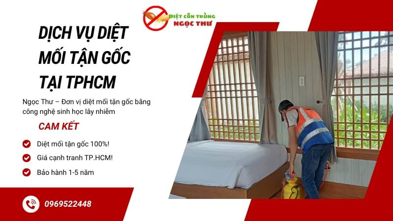 Dịch vụ diệt mối Tại TP. HCM Ngọc Thư