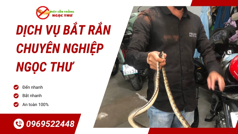 Dịch vụ bắt rắn chuyên nghiệp Ngọc Thư