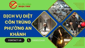Dịch vụ diệt côn trùng phường An Khánh, TP.HCM