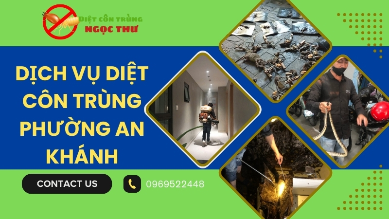 Dịch vụ diệt côn trùng phường An Khánh, TP.HCM
