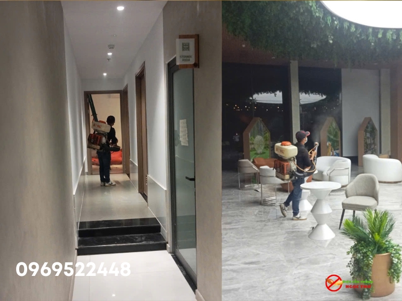 Dịch vụ diệt côn trùng tại phường An Khánh, Tp.HCM