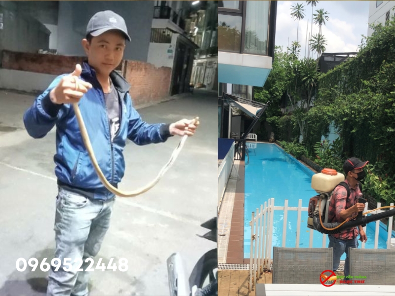 Dịch vụ bắt rắn tại phường An Khánh, TP.HCM