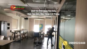 Dịch vụ diệt gián tận gốc, bảo hành 3-6 tháng