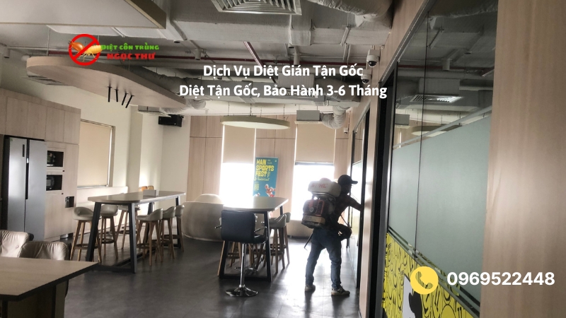 Dịch vụ diệt gián tận gốc, bảo hành 3-6 tháng
