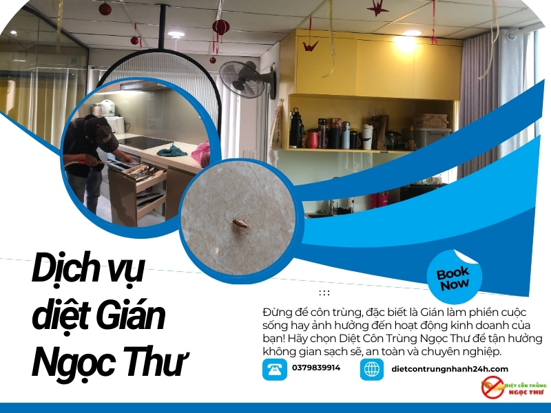 Dịch vụ diệt gián tận gốc của Ngọc Thư