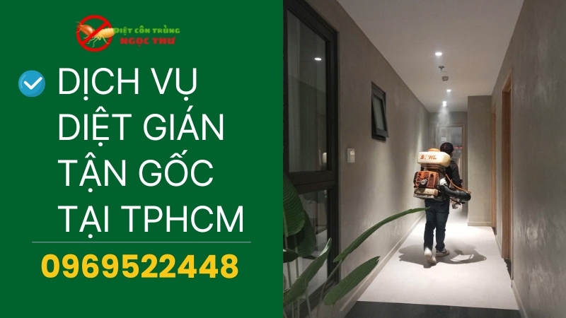 Dịch vụ diệt gián tận gốc tại TPHCM