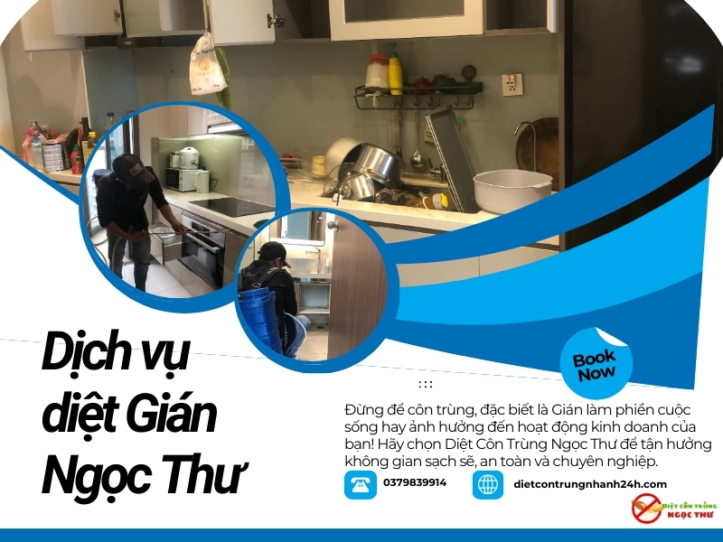 Dịch vụ diệt gián tận gốc tại TPHCM