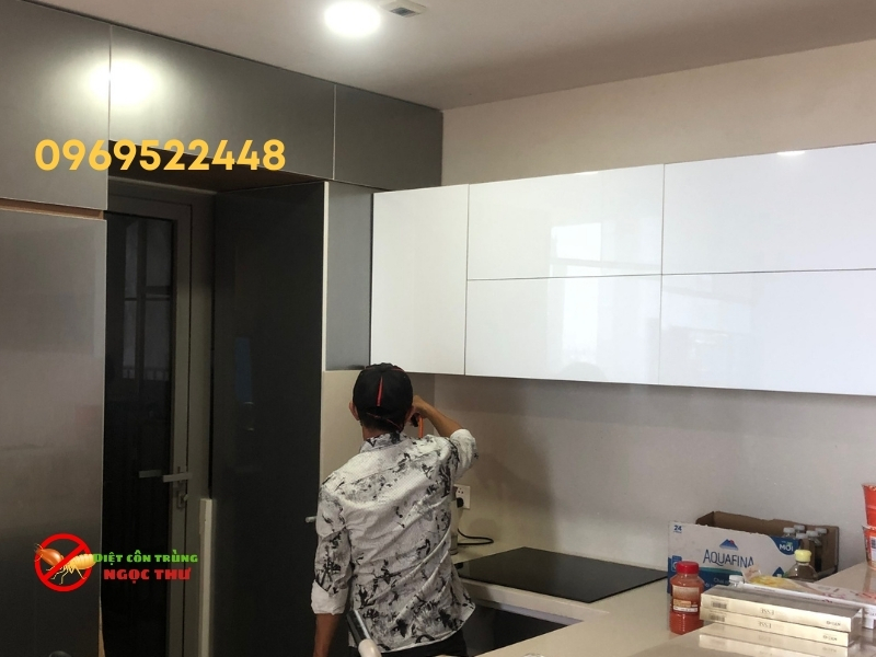 Dịch vụ diệt gián tận gốc của Ngọc Thư