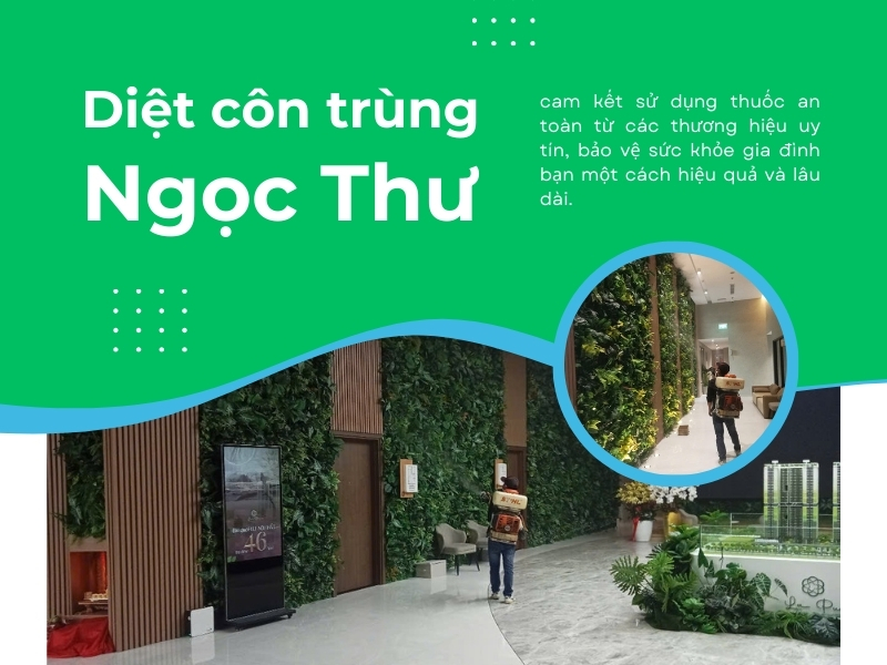 Dịch Vụ Phun Muỗi Tại Nhà: Kiểm Soát Côn Trùng Toàn Diện Cho Doanh Nghiệp Tại Việt Nam 3 Các loại hóa chất sử dụng cho dịch vụ phun muỗi tại nhà