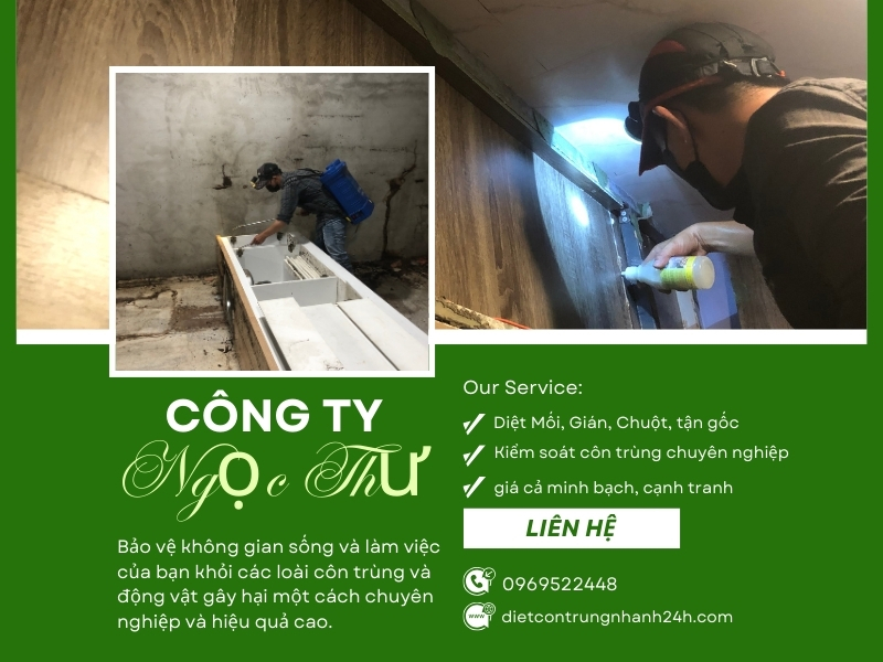 Tại sao nên chọn công ty xịt côn trùng chuyên nghiệp 