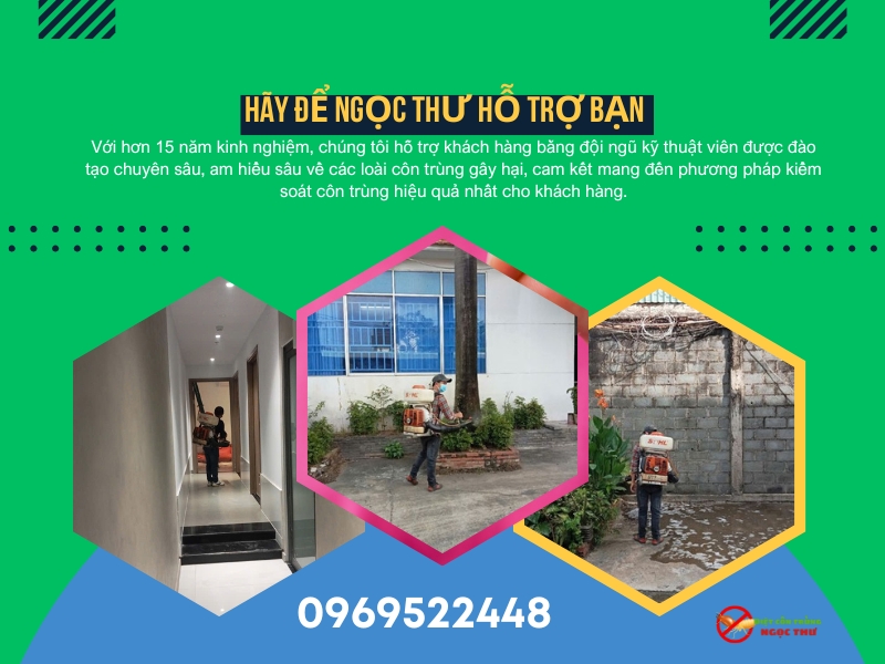 Dịch vụ xịt muỗi của Ngọc Thư