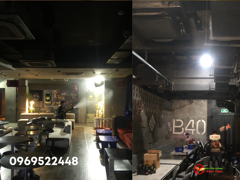 Dịch vụ xịt muỗi, và các loại côn trùng gây hại khác