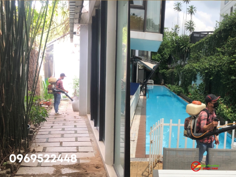 Dịch vụ xịt muỗi và côn trùng chuyên nghiệp