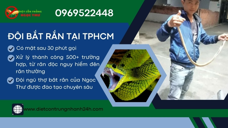 Đội bắt rắn tại TPHCM