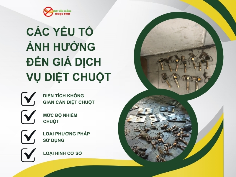 Các yếu tố ảnh hưởng đến giá dịch vụ diệt chuột