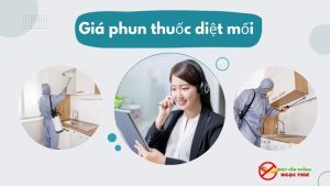Giá phun thuốc diệt mối