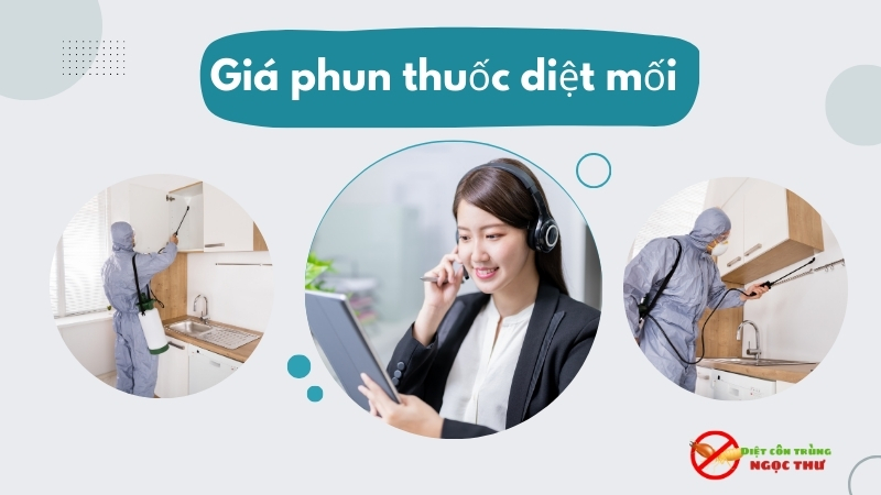 Giá phun thuốc diệt mối