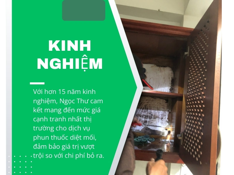 Lợi ích khi chon công ty diệt mối tại Ngọc Thư