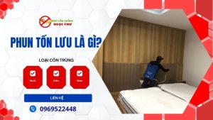 Phun tồn lưu là gì?