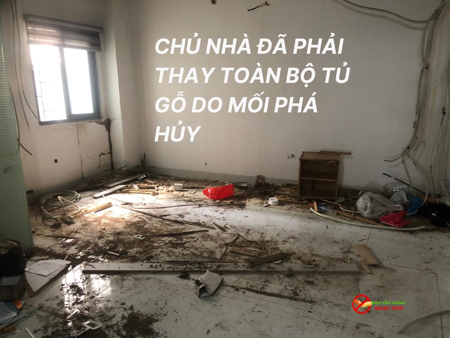 Mối phá hủy toàn bộ cấu trúc gỗ