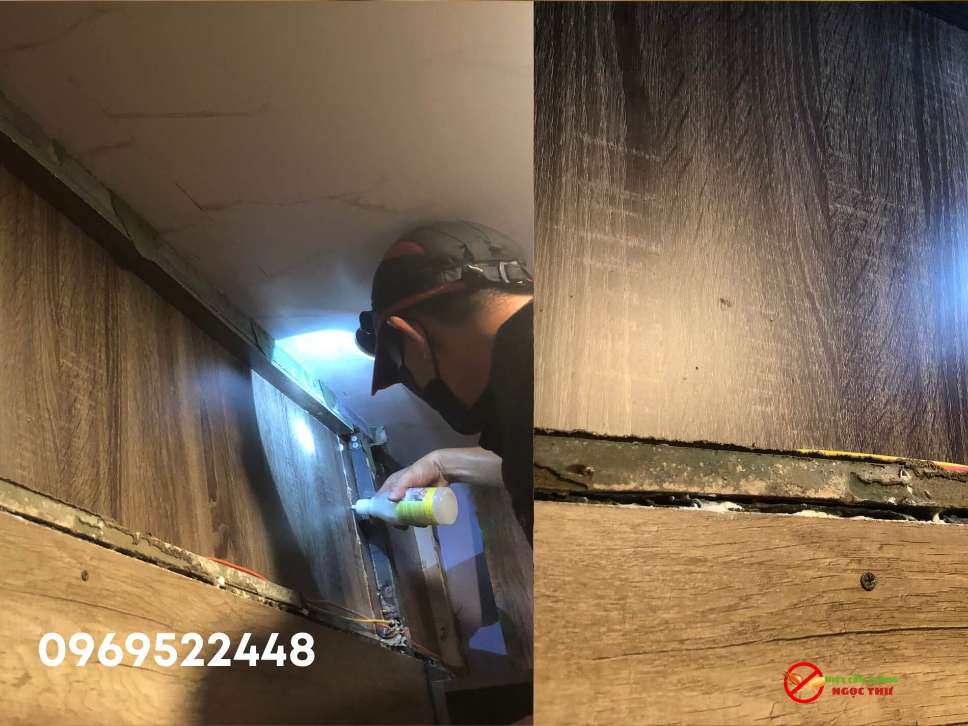 Rắc thuốc lây nhiễm trực tiếp vào các cá thể mối để tiêu diệt toàn bộ đàn