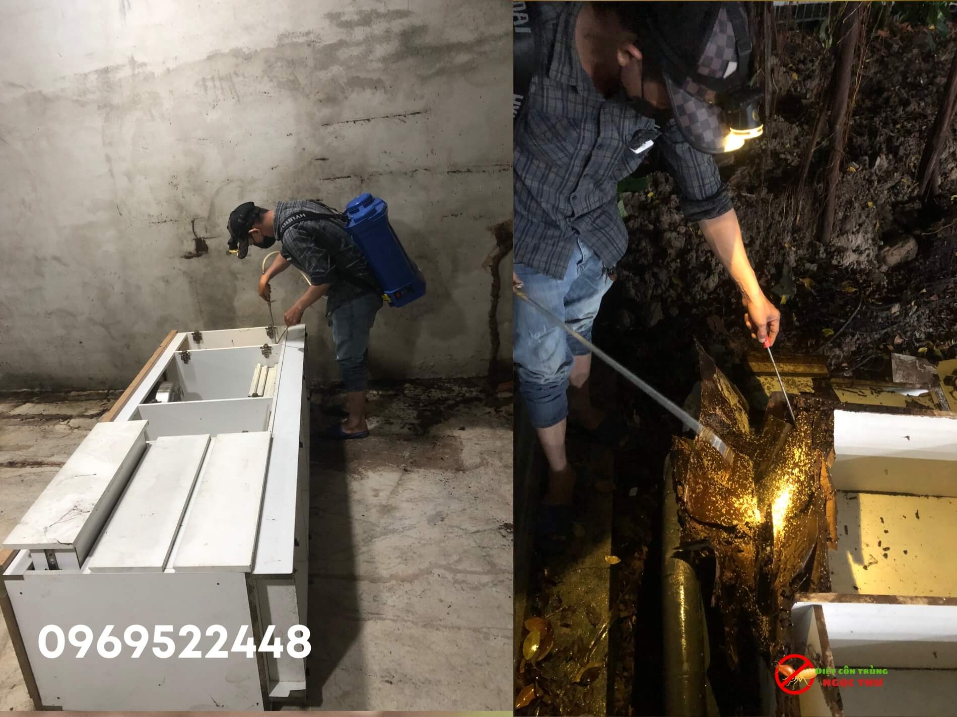 phun thuốc lây nhiễm khi tủ gỗ đã bị mốt tấn công mạnh