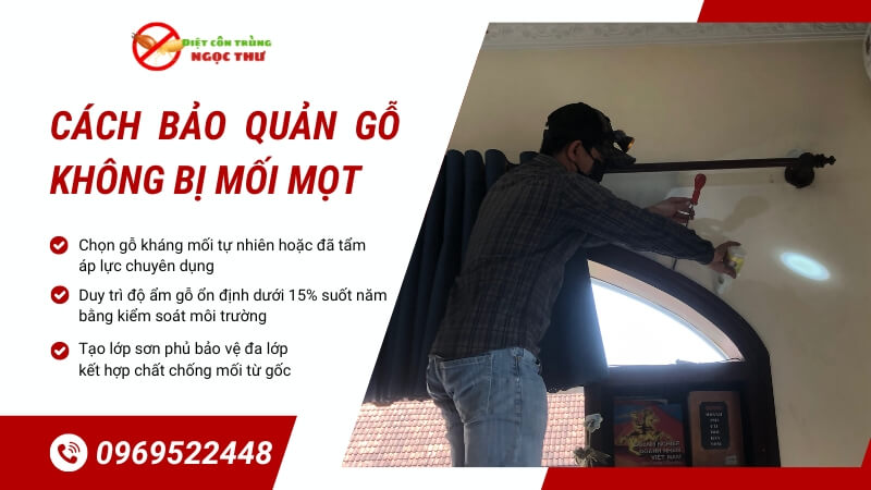 Cách bảo quản gỗ không bị mốt mọt