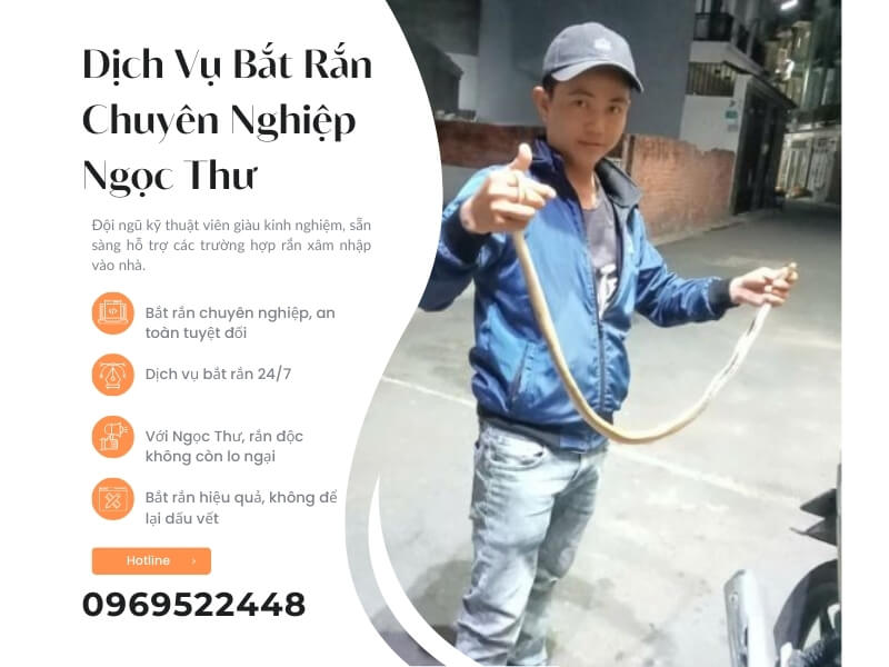 Dịch vụ bắt rắn chuyên nghiệp Ngọc Thư