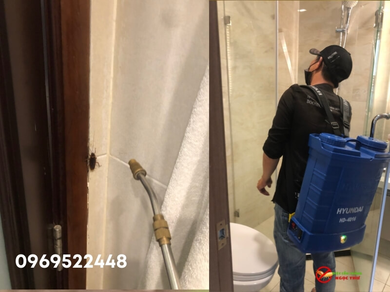 Công Ty Kiểm Soát Côn Trùng Chuyên Nghiệp, Uy Tín Tại TPHCM 3 Dịch vụ diệt gián tận gốc