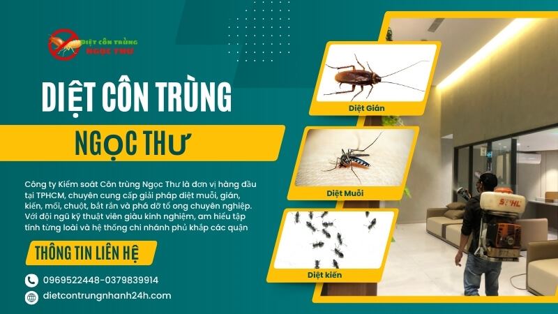 Công Ty Kiểm Soát Côn Trùng Chuyên Nghiệp, Uy Tín Tại TPHCM 1 Công ty kiểm soát côn trùng chuyên nghiệp - Ngọc Thư