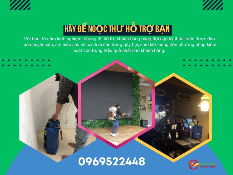 Công ty xịt côn trùng chuyên nghiệp Ngọc Thư