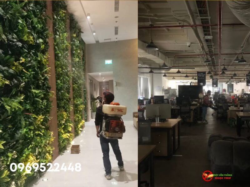 Công ty xịt côn trùng tại TPHCM chuyên nghiệp