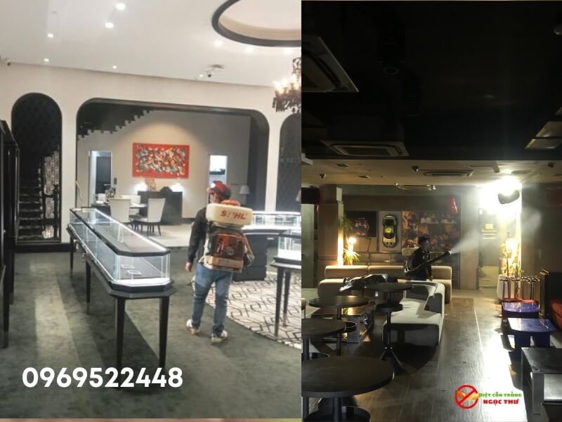 Ngọc Thư áp dụng các phương pháp phun diệt côn trùng khác nhau cho từng loại côn trùng