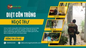 Công ty xịt côn trùng tại TPHCM Ngọc Thư
