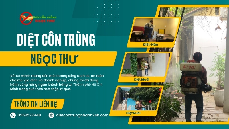 Công ty xịt côn trùng tại TPHCM Ngọc Thư