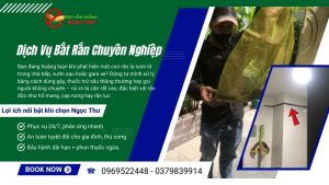 Dịch vụ bắt rắn chuyên nghiệp